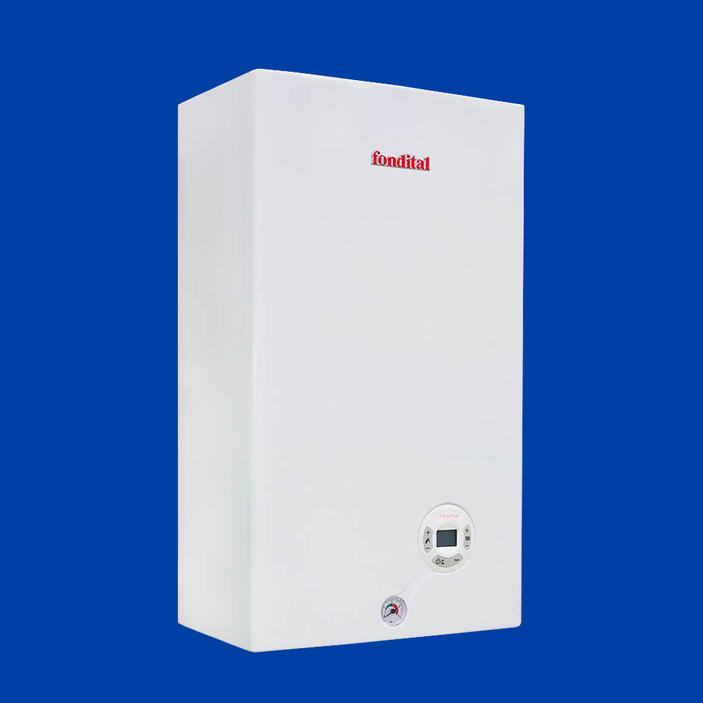 Котел газовый Fondital MINORCA  CTFS 24