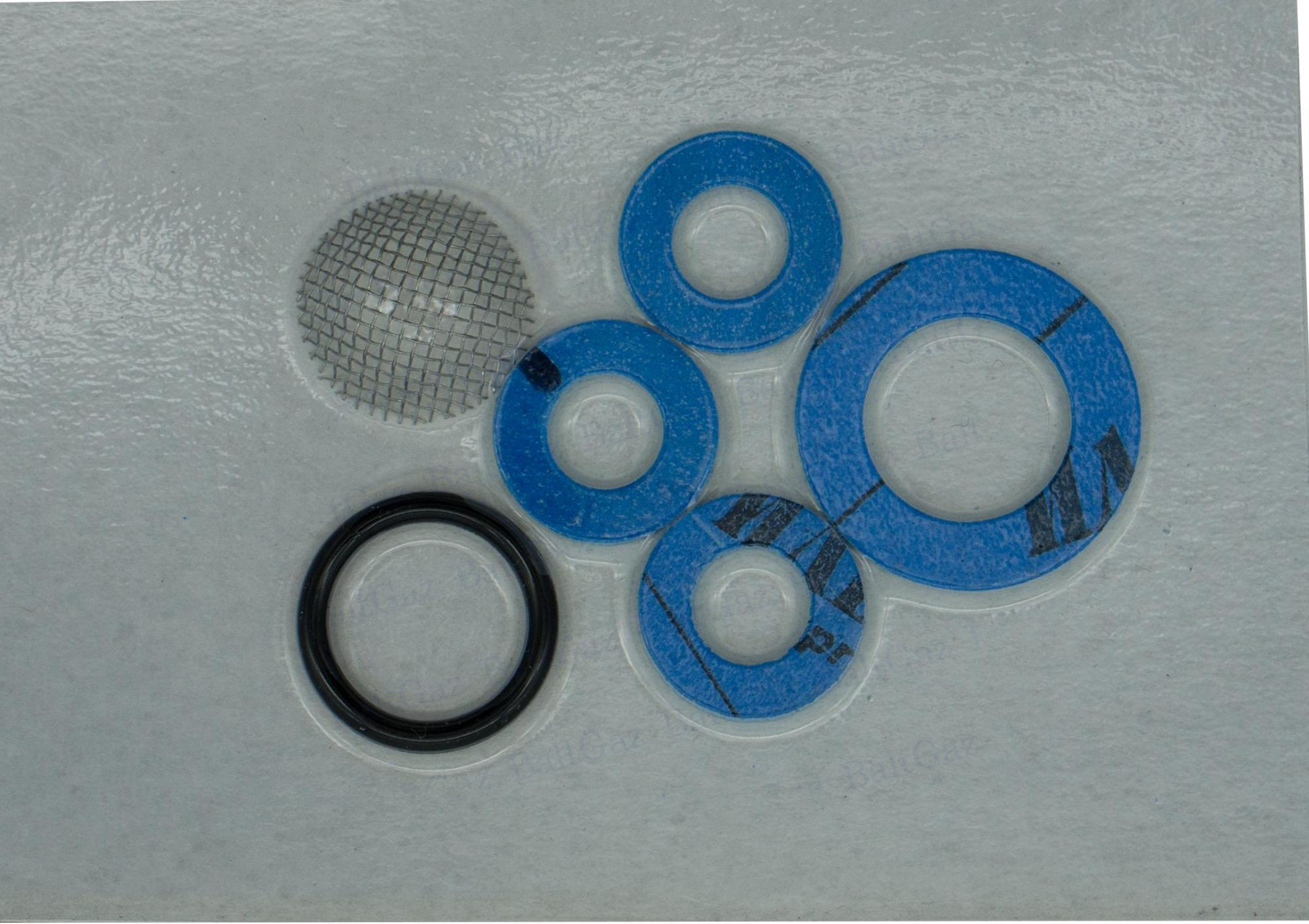 Комплект ЗИП для проведения ТО1 ВПГ BaltGaz 17 Comfort  арт. 1001-06.100