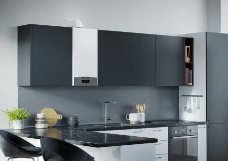 Котёл настенный газовый одноконтурный с закрытой камерой сгорания ARISTON CLAS XC SYSTEM 24 FF (Арт.3301679)